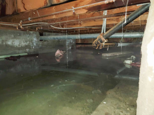 Best Water damage restoration near me  in East Greenville, PA
