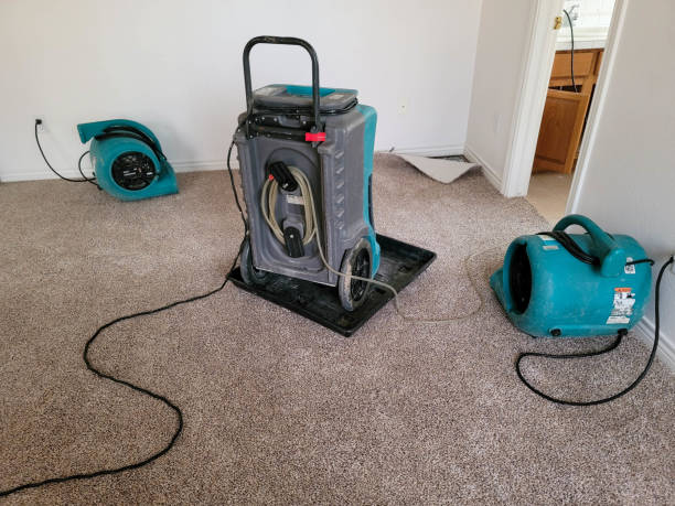 Best Water damage restoration cost  in East Greenville, PA