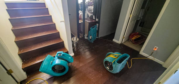 Best Carpet water damage restoration  in East Greenville, PA