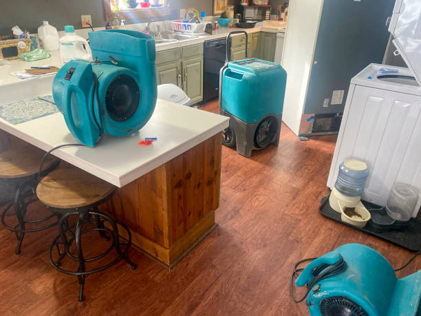Best Water damage restoration specialists  in East Greenville, PA