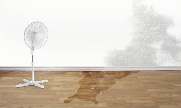 Best Flood damage cleanup  in East Greenville, PA