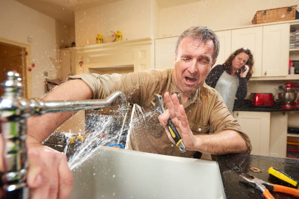 Best Flooded house restoration  in East Greenville, PA